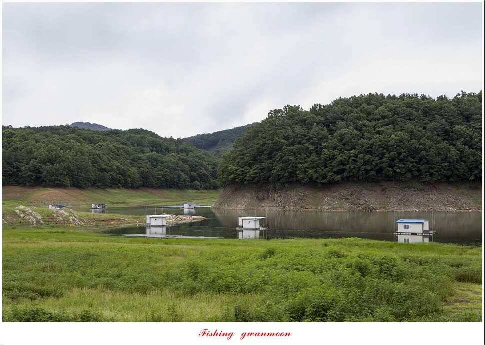 충주호 오름수위 대박 조황 (조황조행기 - 특파원조황)