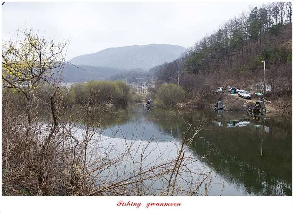 충주호 첫 붕어달천강 월척 (조황조행기 - 특파원조황)