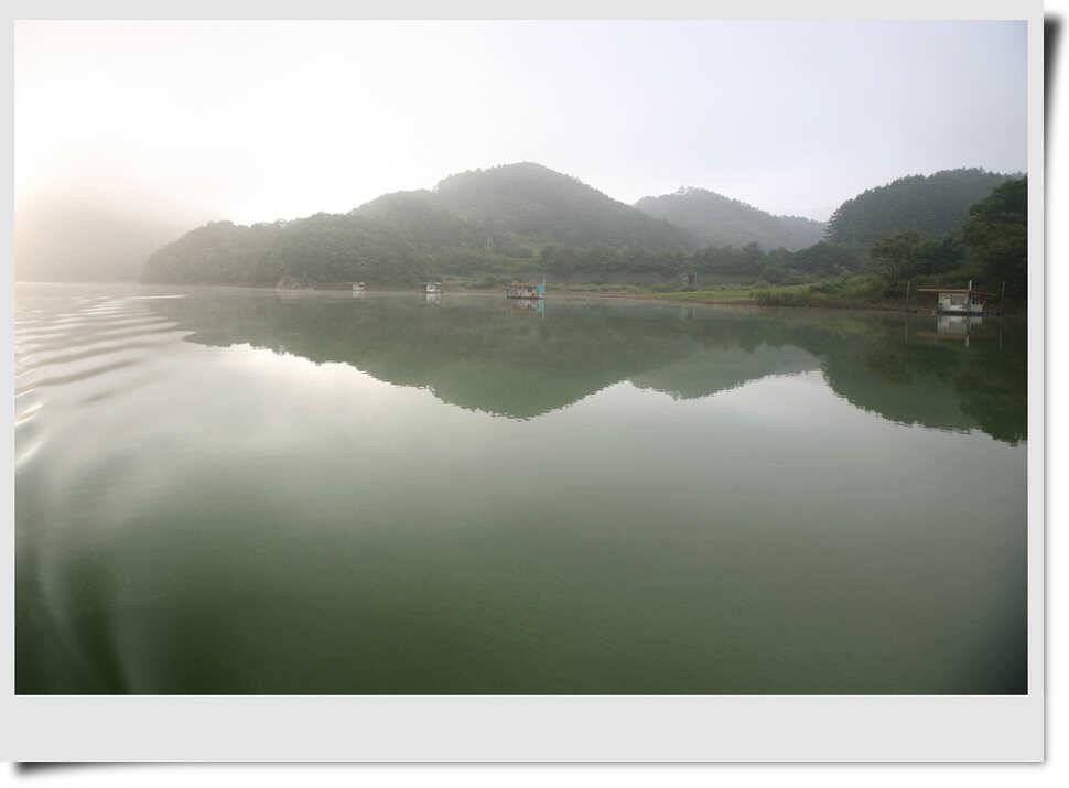 충주호 소식 (조황조행기 - 특파원조황)