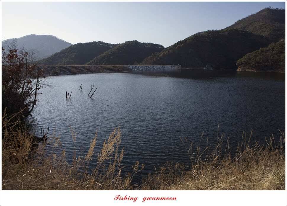 충주호 조황과 빙어 낚시 (조황조행기 - 특파원조황)