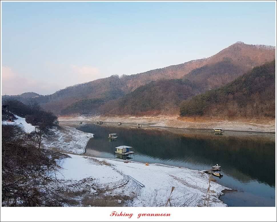 제일 마릿수 월척실리곡 월척 조황 (조황조행기 - 특파원조황)
