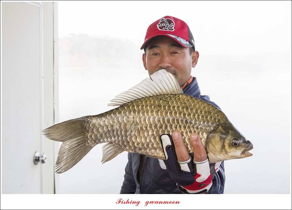 제일 44 cm418 cm신매 허리급 월척 (조황조행기 - 특파원조황)