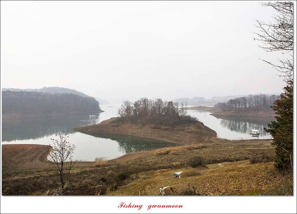 한버들 사짜 및 월척 조황 (조황조행기 - 특파원조황)