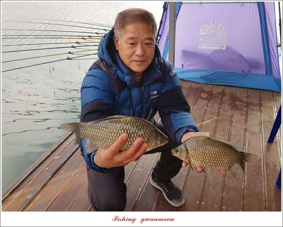 신매 혹부리 445 cm병호 41 cm실리곡한버들두무소 월척 조황 (조황조행기 - 특파원조황)