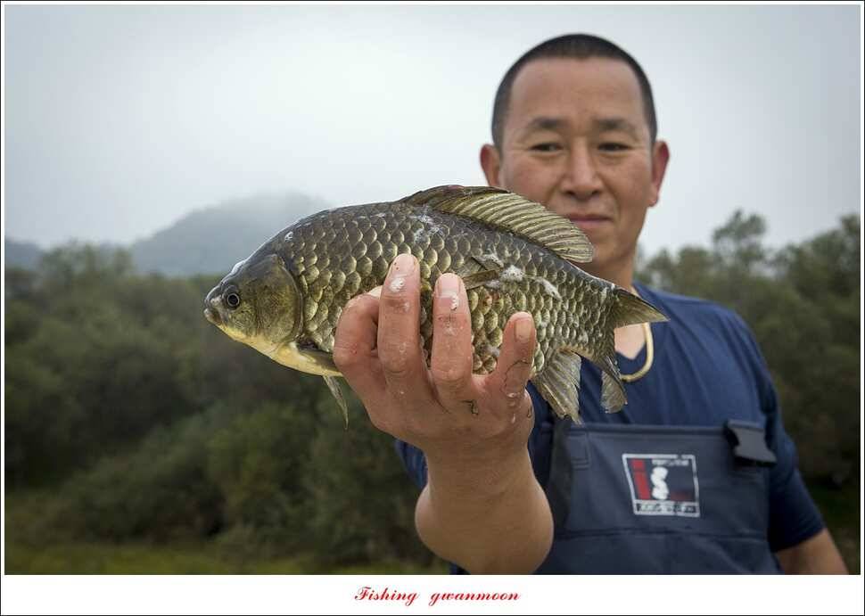 청풍 신리 사짜실리곡제일화곡지 사짜 조황 (조황조행기 - 특파원조황)