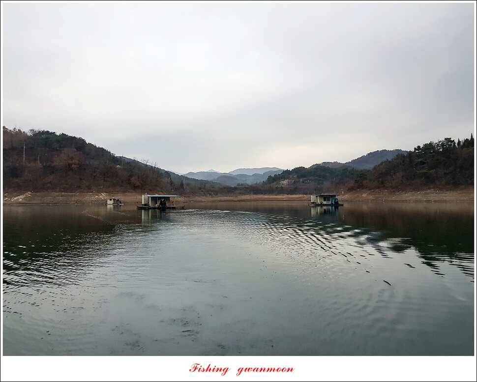 한버들실리곡 월척 조황 (조황조행기 - 특파원조황)