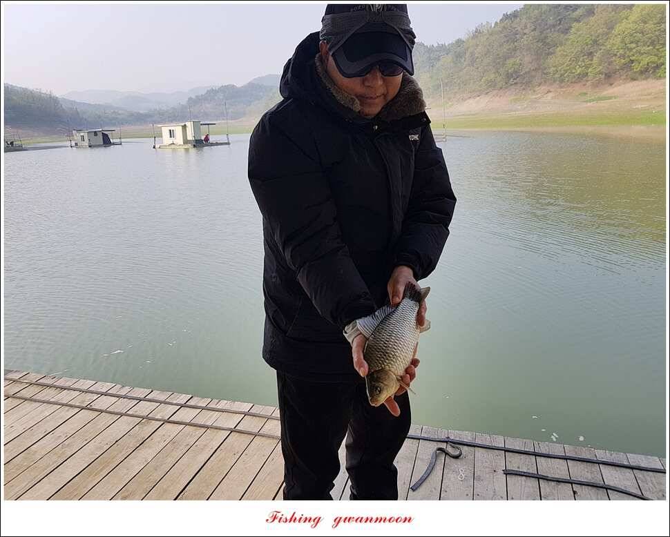 한버들 405cm40cm칠성지 43 cm실리곡 마릿수 월척 (조황조행기 - 특파원조황)