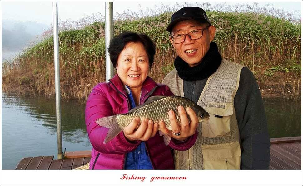 신매한버들화곡지 월척 조황 (조황조행기 - 특파원조황)