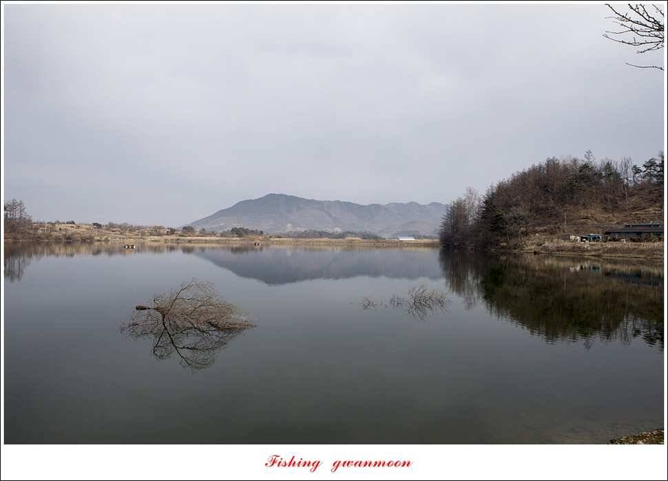 충주괴산권 물낚시 (조황조행기 - 특파원조황)