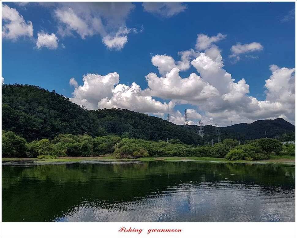 돌감서유석신리실리곡화곡지 조황 (조황조행기 - 특파원조황)