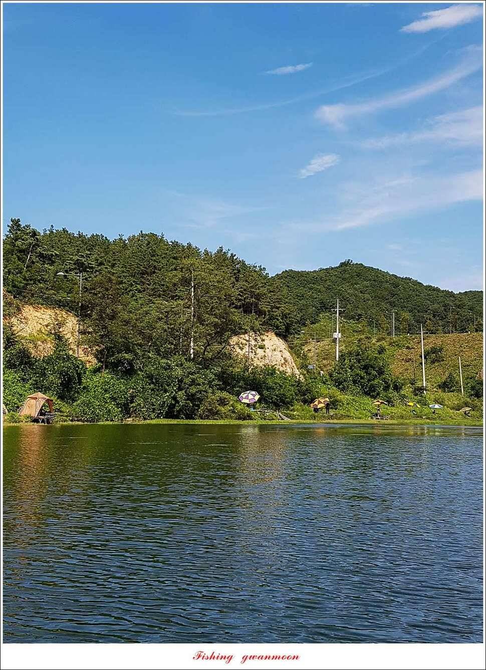 화곡지 사짜실리곡 월척 및 마릿수 조황 (조황조행기 - 특파원조황)