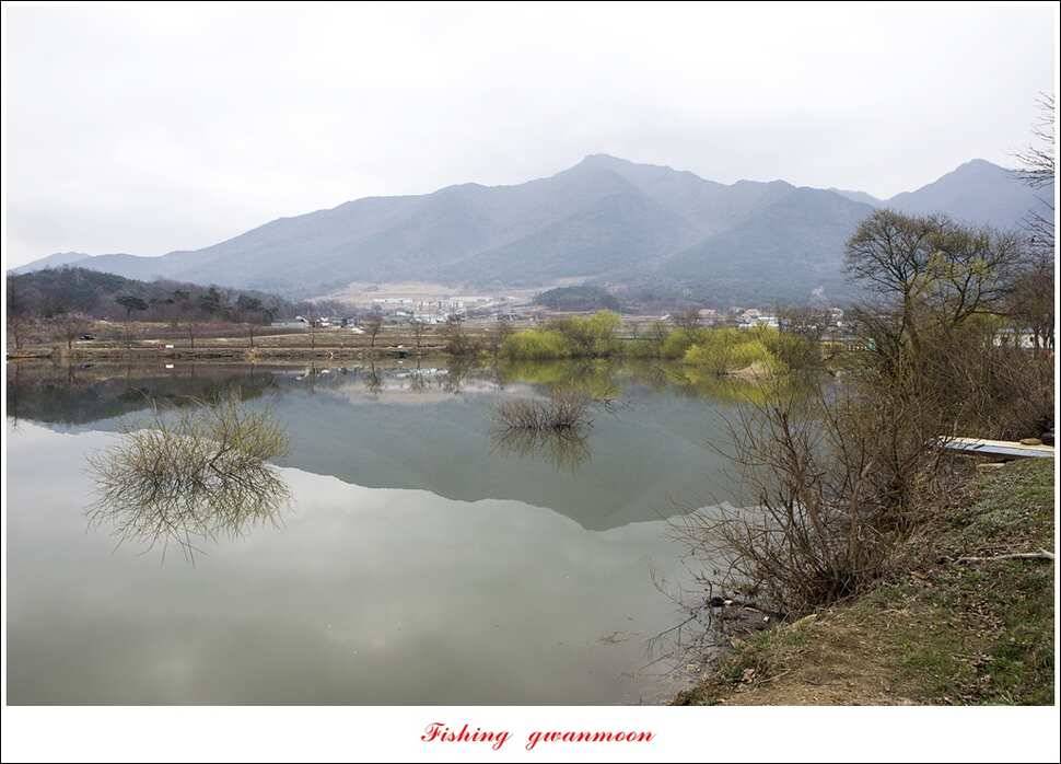 실리곡화곡지달천강 마릿수 월척외 조황 (조황조행기 - 특파원조황)