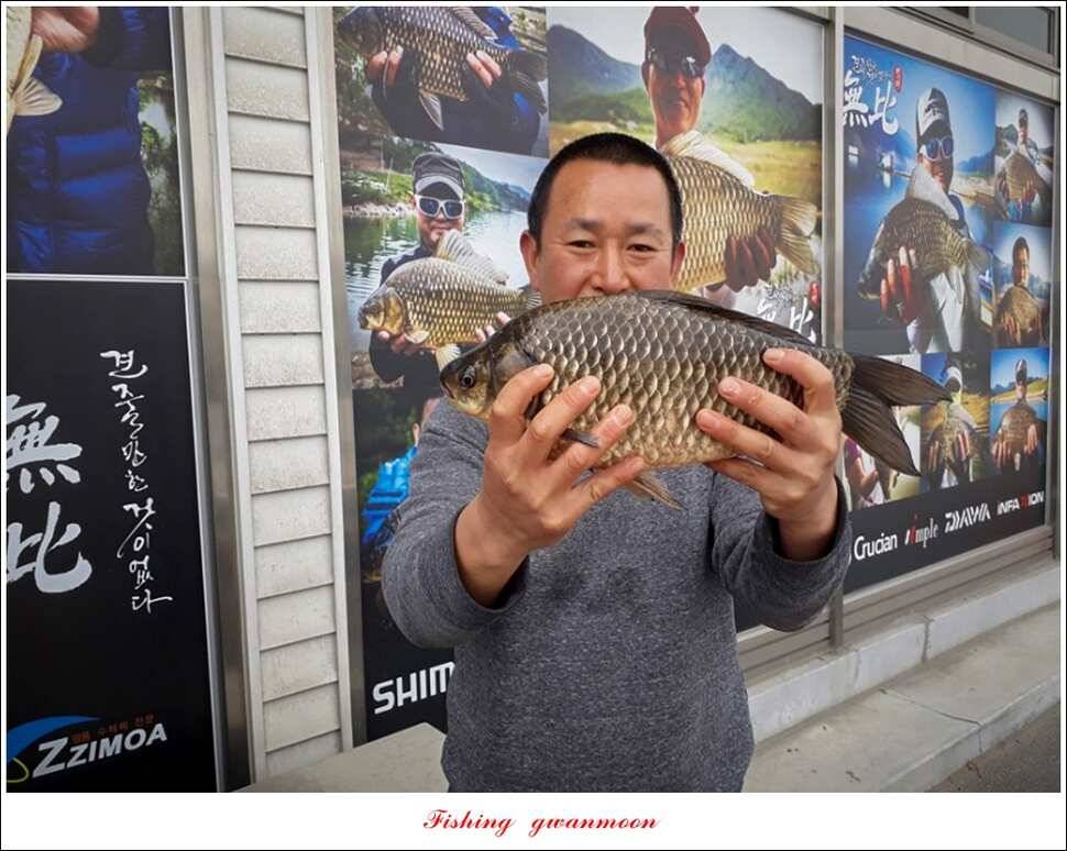 실리곡화곡지달천강 마릿수 월척외 조황 (조황조행기 - 특파원조황)