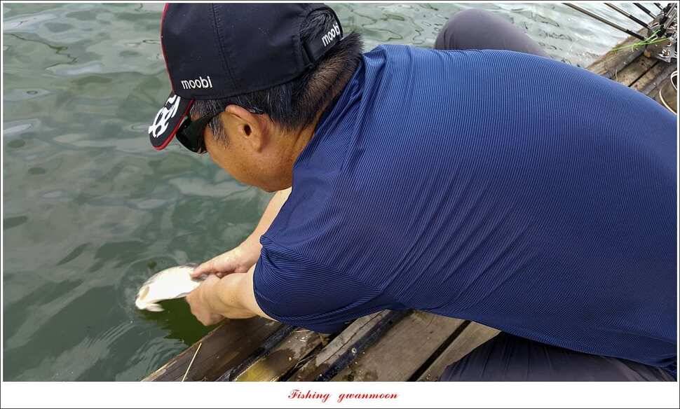 신매 405 cm서유석 장어돌감실리곡신리 월척 조황 (조황조행기 - 특파원조황)