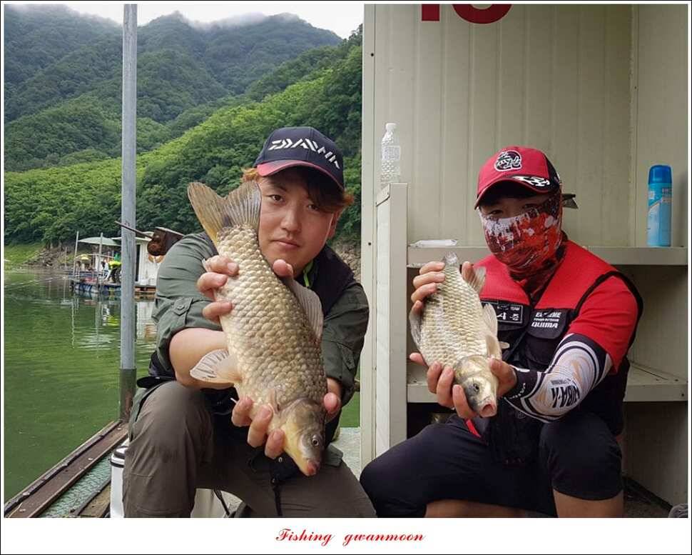 충주호 오름수위 대박 조황 (조황조행기 - 특파원조황)