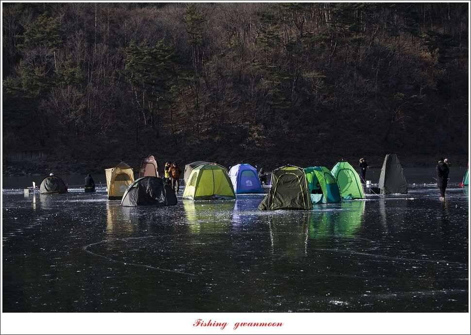 충주호 물낚시와 빙어 낚시 조황 (조황조행기 - 특파원조황)