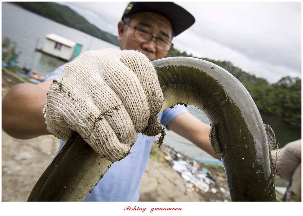 병호돌감실리곡신리칠성지매전지 조황 (조황조행기 - 특파원조황)