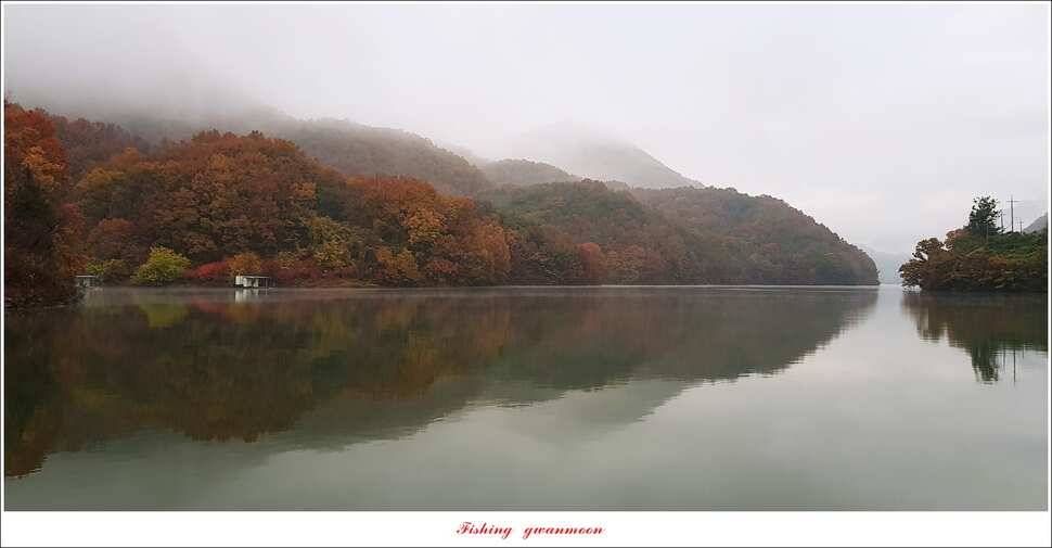 칠성지 사짜 2 수실리곡 마릿수 월척 조황 (조황조행기 - 특파원조황)