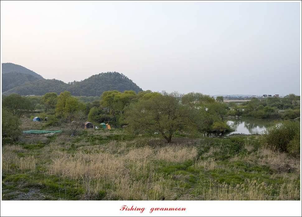 함지 마릿수 사짜실리곡 마릿수 월척 (조황조행기 - 특파원조황)