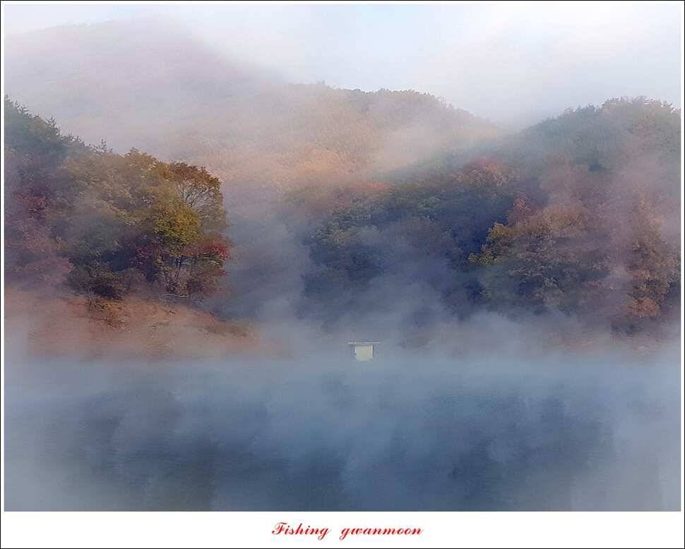 실리곡 허리급 월척 조황 (조황조행기 - 특파원조황)