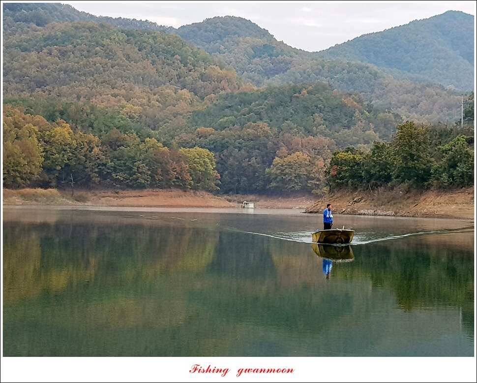 실리곡 낚시터 월척 및 마릿수 조황 (조황조행기 - 특파원조황)