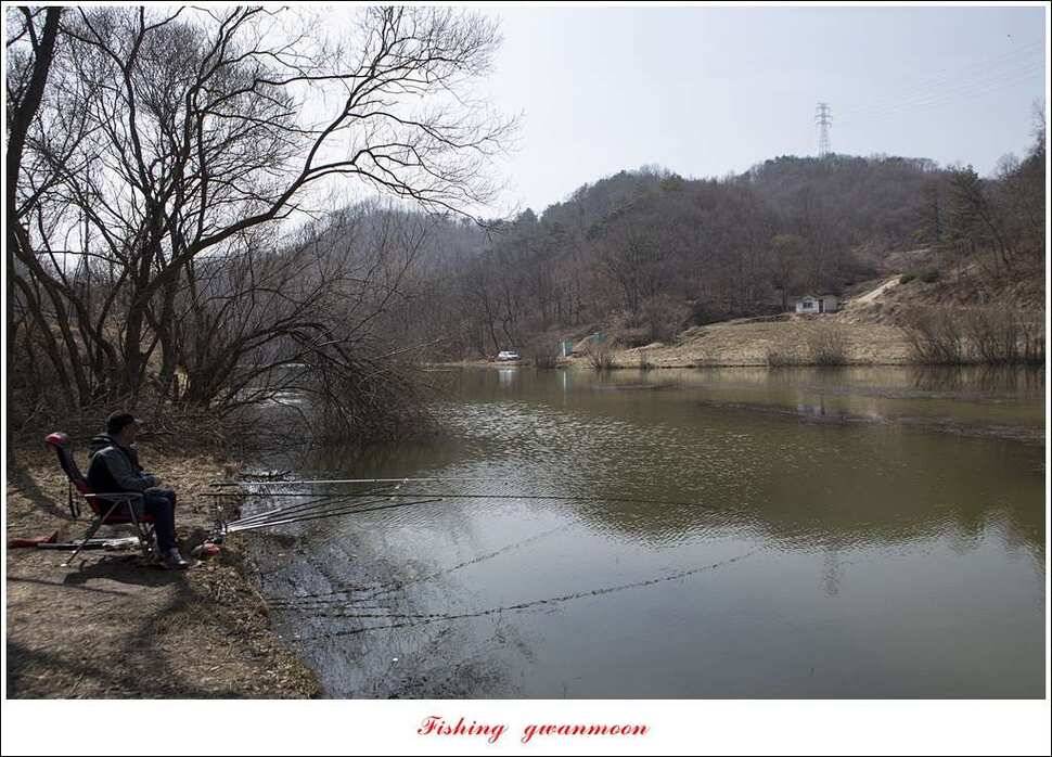 충주괴산권 조황 (조황조행기 - 특파원조황)