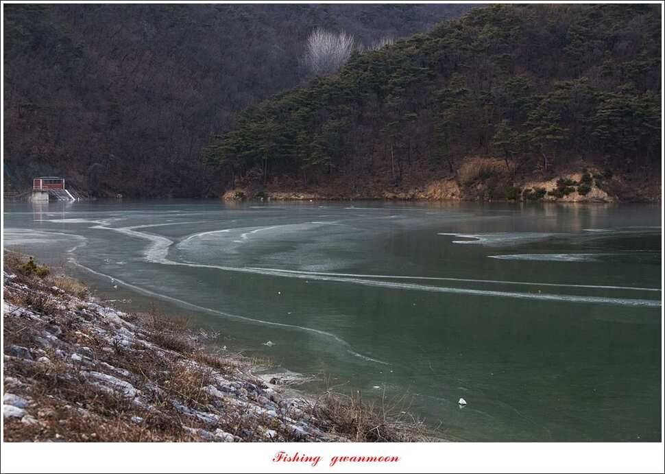 빙어 낚시물낚시 (조황조행기 - 특파원조황)