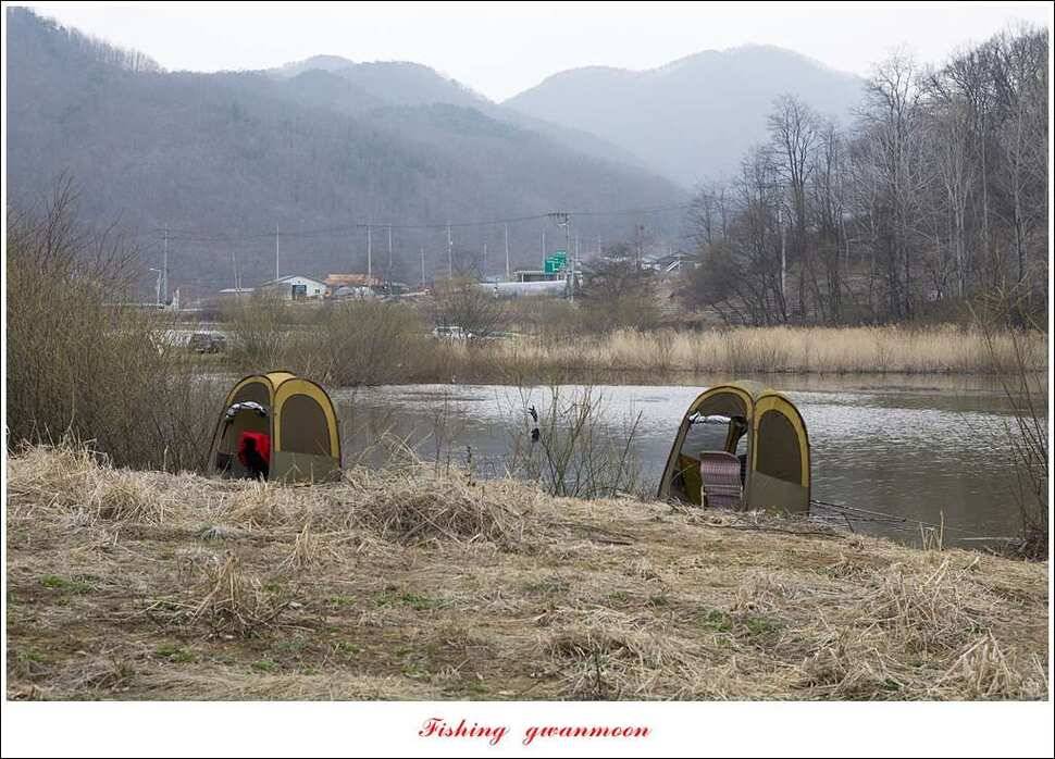 충주호 첫 붕어달천강 월척 (조황조행기 - 특파원조황)