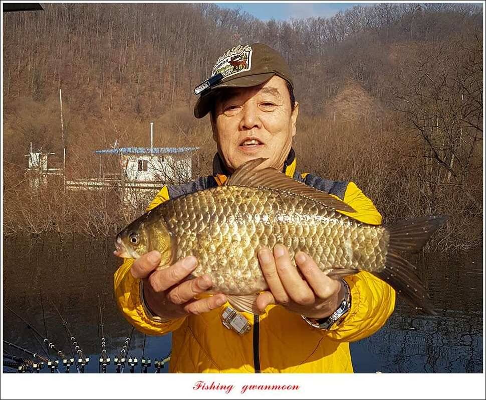 화곡지 월척 조황 (조황조행기 - 특파원조황)