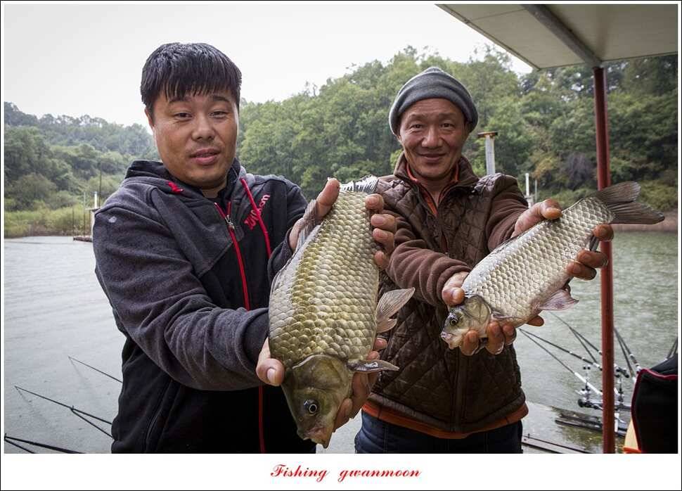 병호 38 cm35 cm화곡지 39 cm실리곡 조황 (조황조행기 - 특파원조황)
