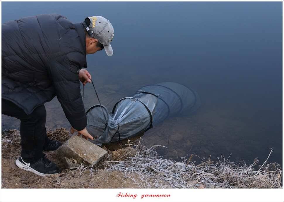 화곡지 마릿수 월척 조황 (조황조행기 - 특파원조황)