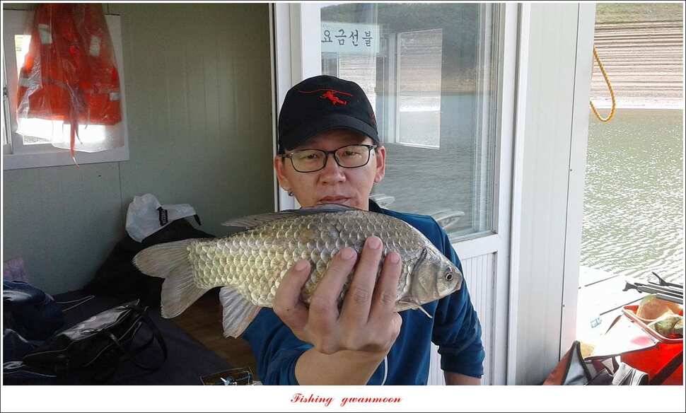 늘푸른한버들화곡지 조황 (조황조행기 - 특파원조황)