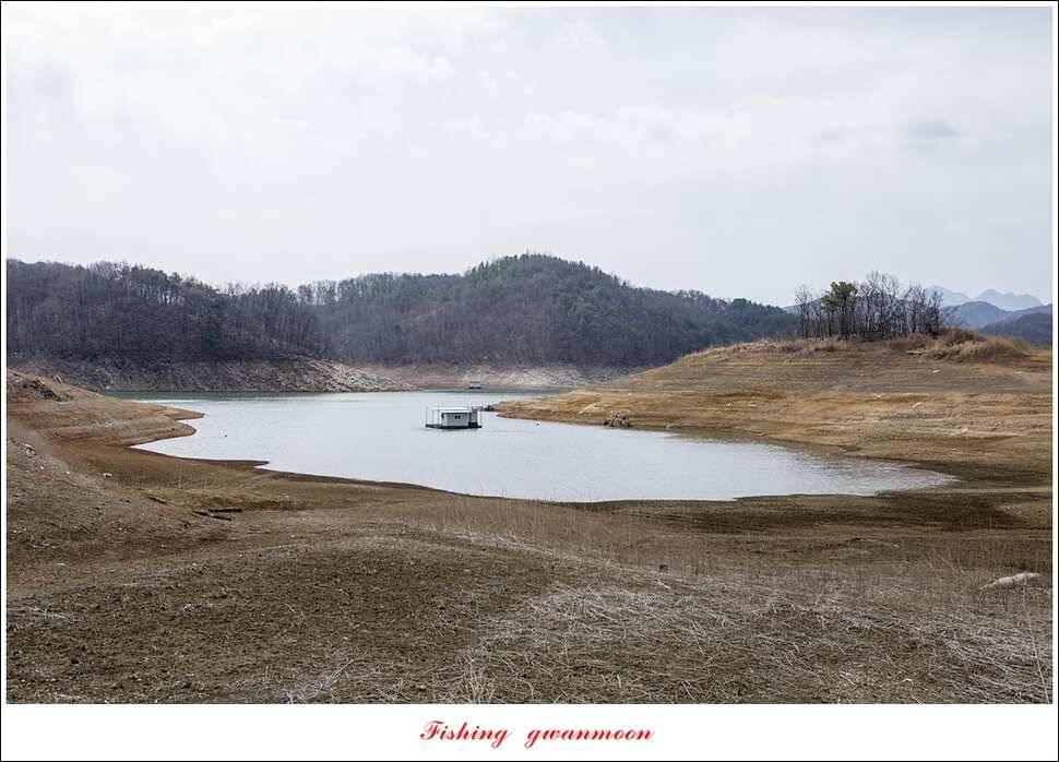 충주호 첫 붕어달천강 월척 (조황조행기 - 특파원조황)