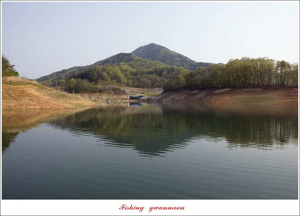 실리곡 사짜한버들 사짜 (조황조행기 - 특파원조황)