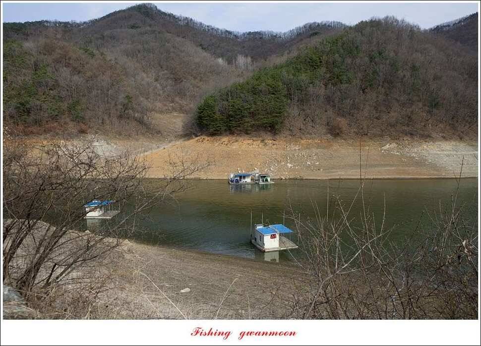 충주호 첫 붕어달천강 월척 (조황조행기 - 특파원조황)