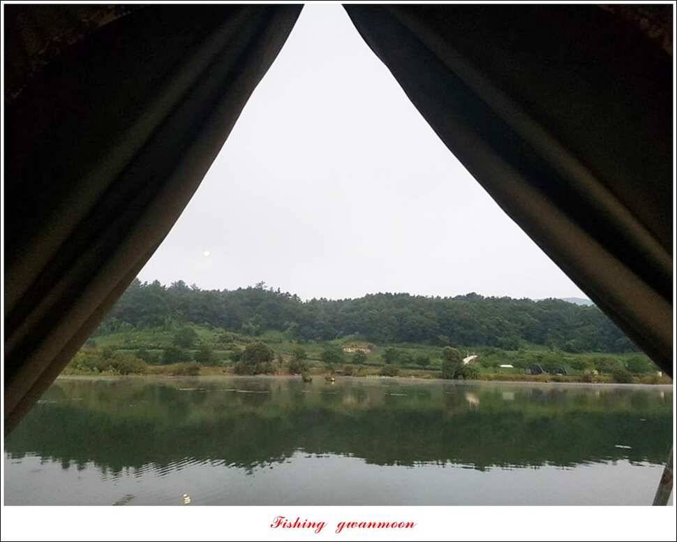 칠성지화곡지서유석 장어실리곡신리 월척 및 마릿수 조황 (조황조행기 - 특파원조황)