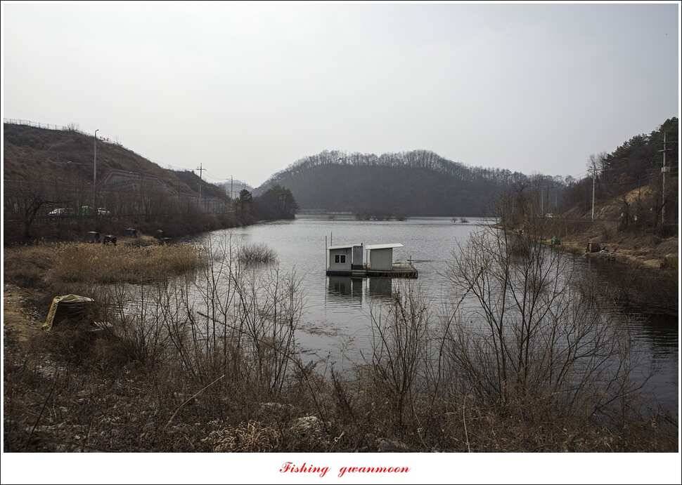 화곡지 사짜 및 마릿수 월척 조황 (조황조행기 - 특파원조황)