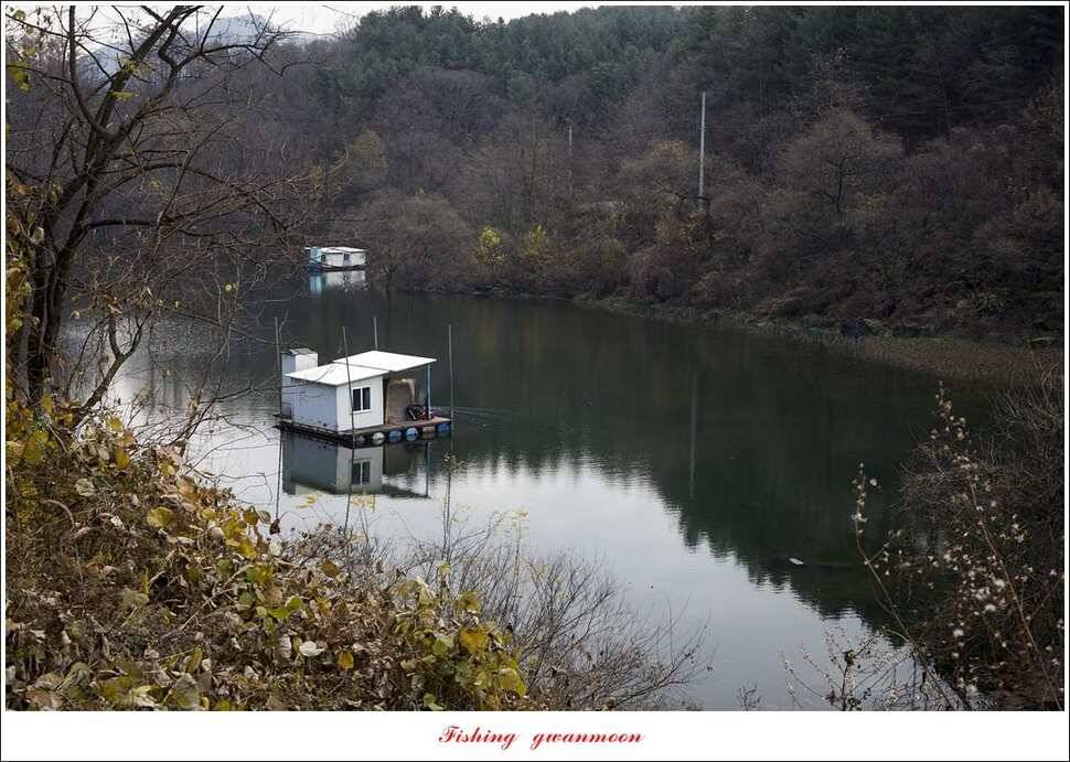 신매 낚시터 38 cm강붕어 마릿수 조황 (조황조행기 - 특파원조황)