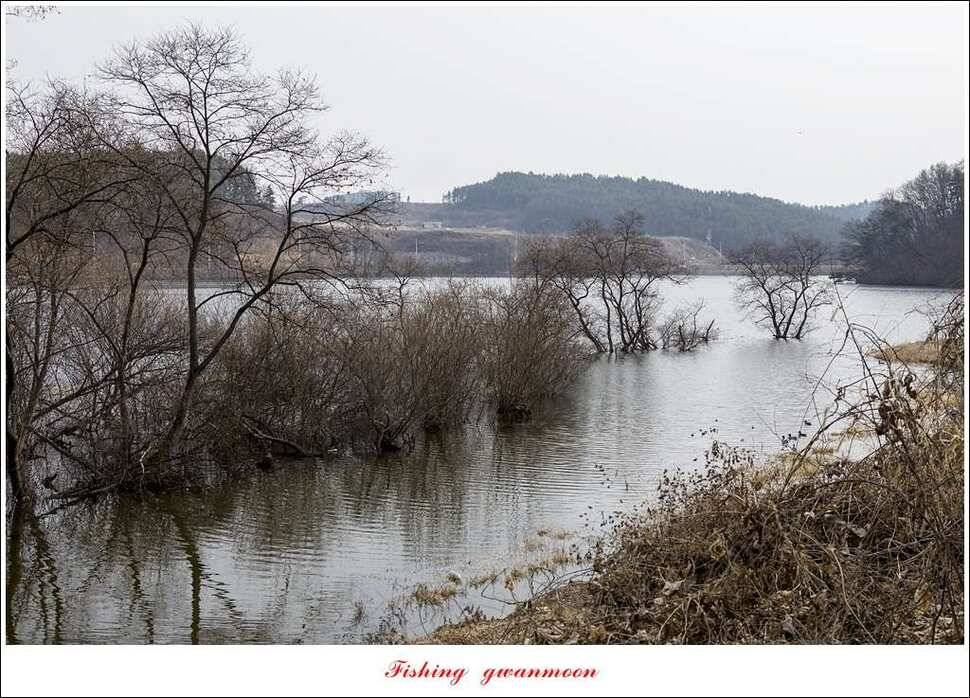 충주괴산권 물낚시 (조황조행기 - 특파원조황)