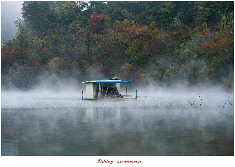 실리곡 월척 및 마릿수 조황 (조황조행기 - 특파원조황)