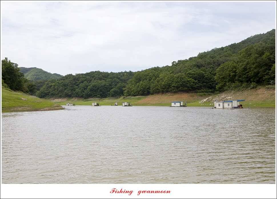 한버들 455 cm청풍 신리 사짜 및 월척 대박실리곡 월척 조황 (조황조행기 - 특파원조황)