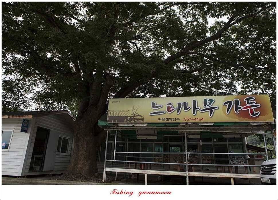 추평지화곡지한버들두무소달천강소류지 조황 (조황조행기 - 특파원조황)