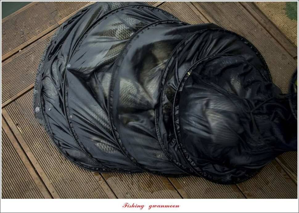 제일 낚시터 37cm35 cm 월척 및 마릿수 조황 (조황조행기 - 특파원조황)