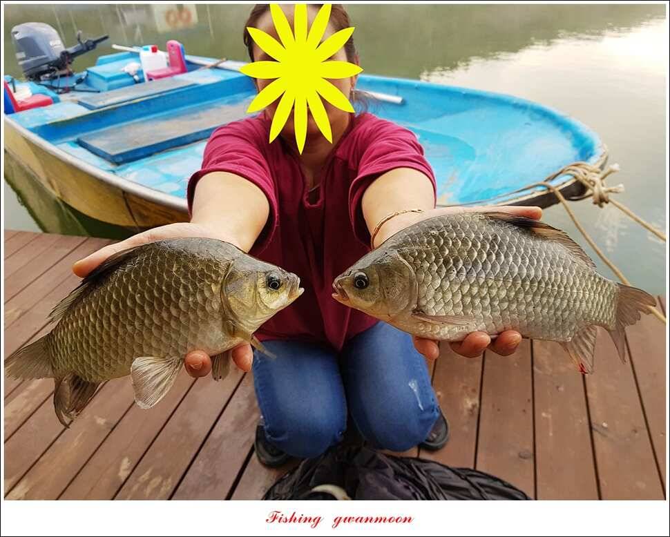 제일 46 cm병호한버들 실리곡 월척 조황 (조황조행기 - 특파원조황)