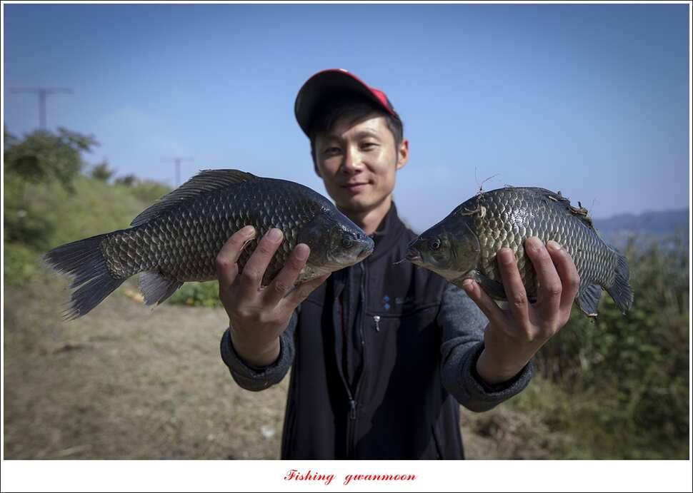 늘푸른 사짜 및 장어신리실리곡달천강 조황 (조황조행기 - 특파원조황)