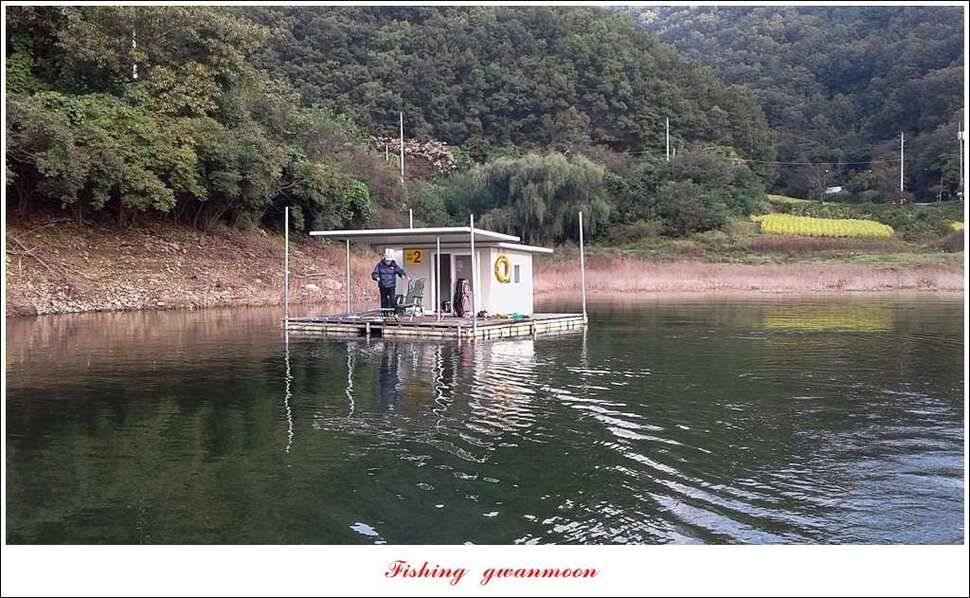 신매 사짜매전지 대물한버들 월척 조황 (조황조행기 - 특파원조황)