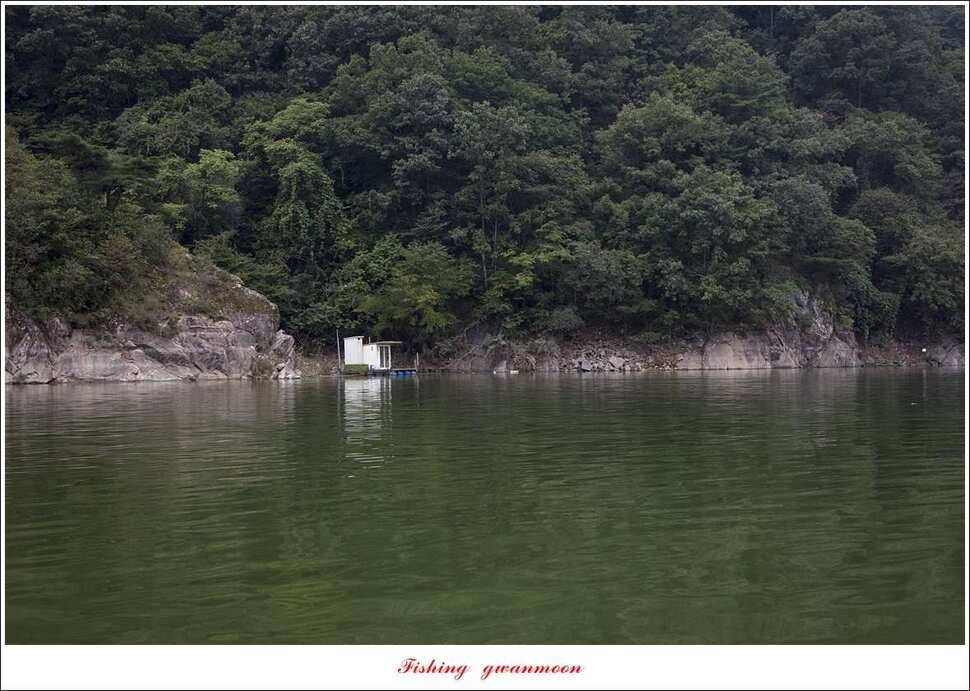 청풍 신리 39 cm실리곡 월척 조황 (조황조행기 - 특파원조황)