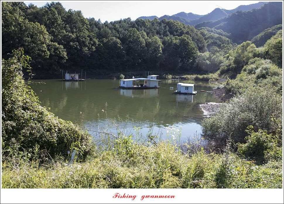 병호실리곡달천강 월척 및 마릿수 조황 (조황조행기 - 특파원조황)