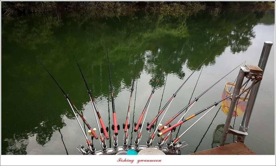 청풍 신리 39 cm 및 월척 조황 (조황조행기 - 특파원조황)
