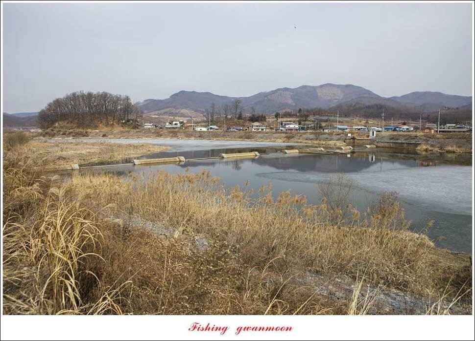 충주괴산권 물낚시 (조황조행기 - 특파원조황)